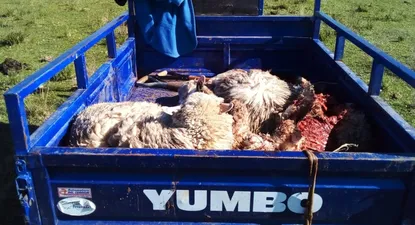 El Observador | 1659028508154.webp