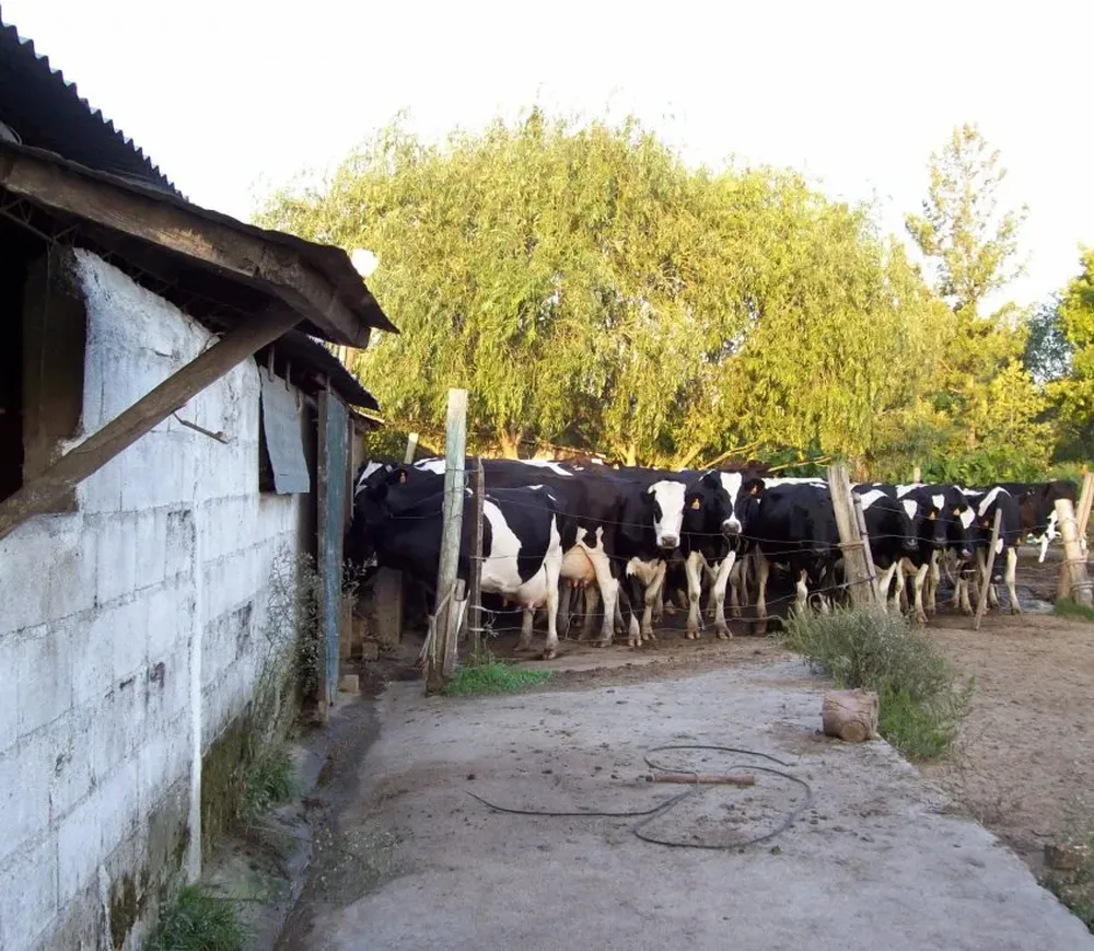 Está previsto para el fondo a distribuir un monto de US$ 6 millones