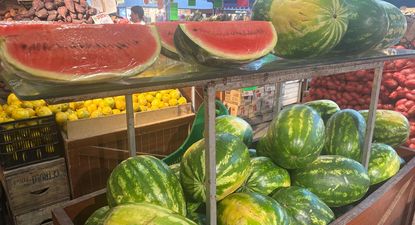 Observatorio Granjero: el precio de la sandía descendió y en el MAM está a $ 13 el kilo.