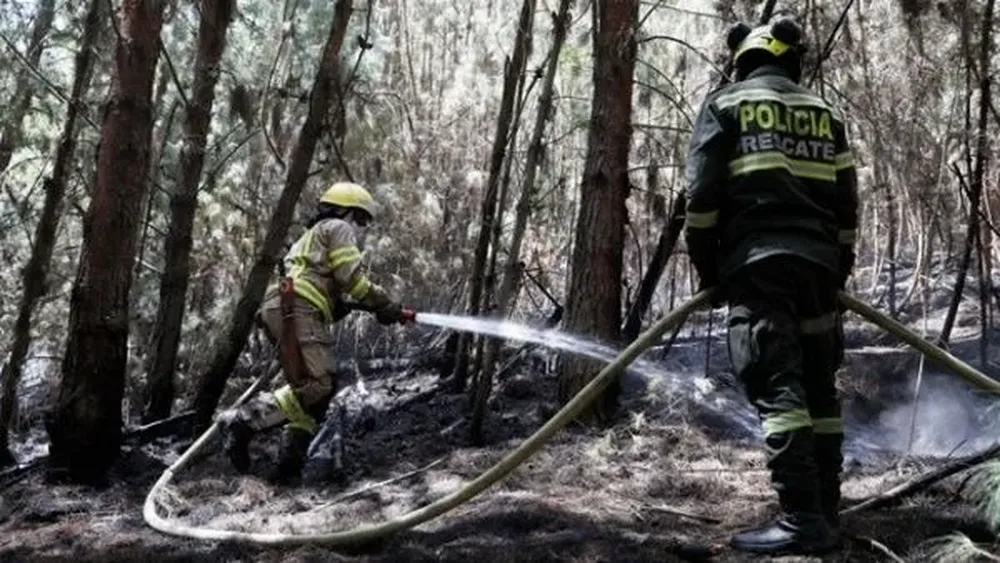 El gobierno aclaró que, si bien son provocados por el hombre, no todos son intencionales sino también accidentales, por negligencia.