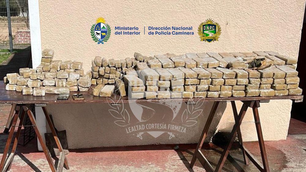 Los paquetes de droga incautados en la Ruta 5