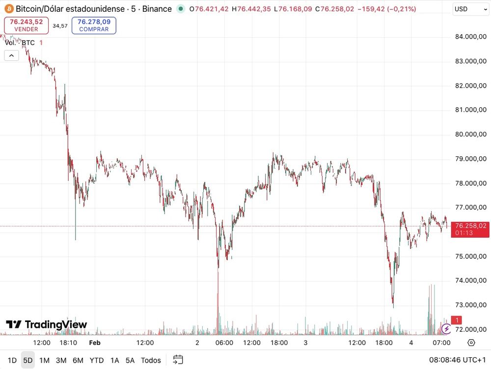 Bitcoin cayó un 40% desde su último máximo histórico, desplomándose por debajo de los USD 74.000 