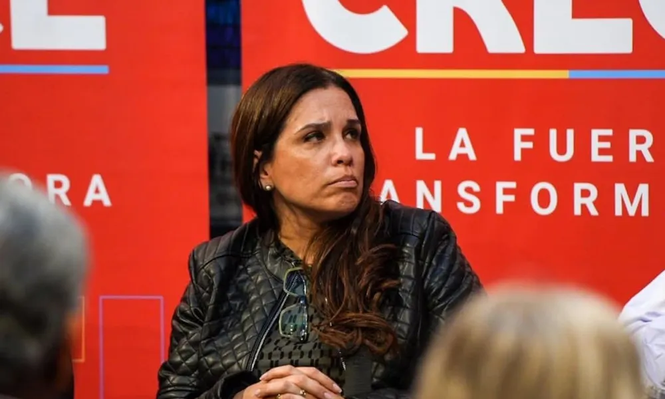 Ley Paz: el proyecto sobre tratamientos de reproducción asistida que se presentó en el Parlamento