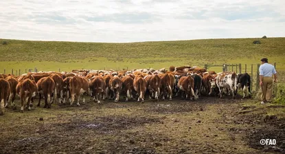 El Observador | 1665683268222.webp