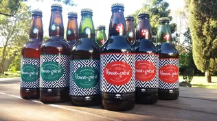 Lanzan cerveza artesanal con sabor a frutos nativos