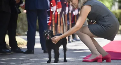 Guapa, la perra de Lacalle Pou, en la bienvenida de Lula