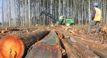 Pese a crecer en el año la economía acumula tres trimestres de caída