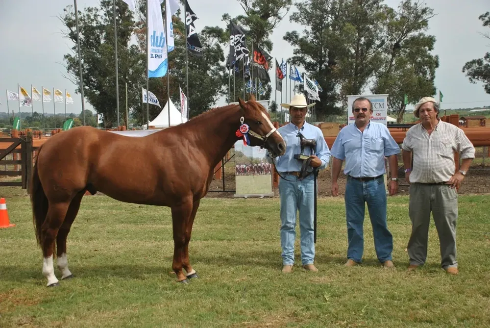 Gran campeón, GV Summer Sixes Pick, de El Mayoral