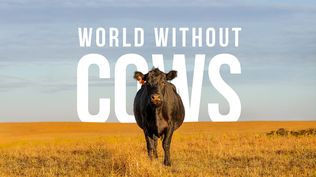 Agro en Punta tendrá entre sus propuestas destacadas el lanzamiento de un documental de alto valor.