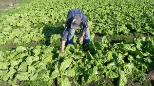 USU denunció la gravedad de la despoblación del medio rural en Uruguay.
