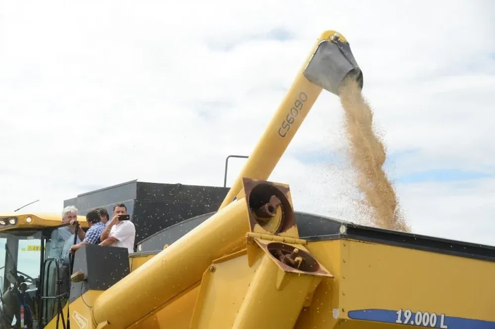 Uruguay exporta el 95% de la producción de arroz