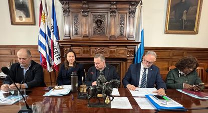 el partido nacional pidio al gobierno adoptar las medidas necesarias para la continuidad operativa en el puerto de montevideo