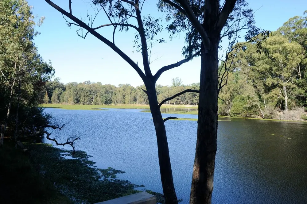 Paseo Pelouse Racine del Parque Roosevelt, en Canelones, una zona que despierta interés de empresarios para invertir