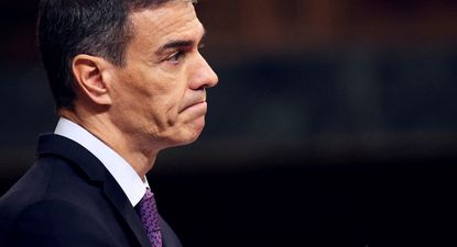 El Observador | pedrito