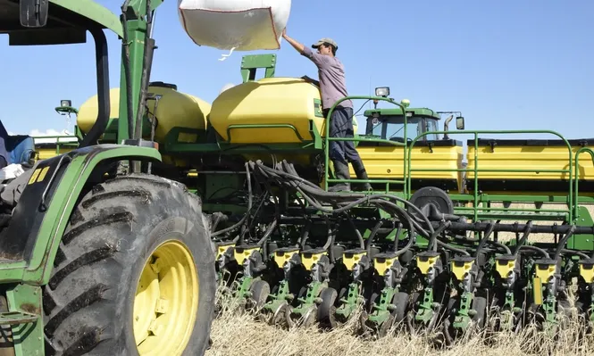 Soja: están en pleno desarrollo las labores de instalación del cultivo oleaginoso en chacras de Uruguay.