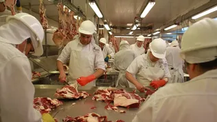 Aumenta cantidad de trabajadores en seguro y es el mayor registro de los últimos dos años