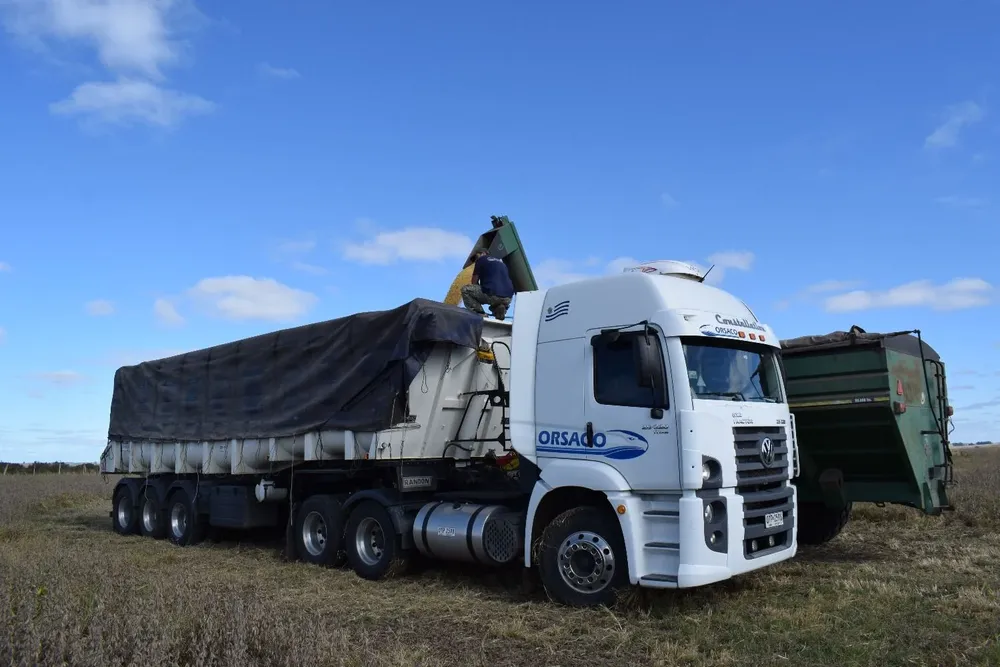 Camión de carga de granos.