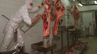 Industria propuso revisar los parámetros del dressing