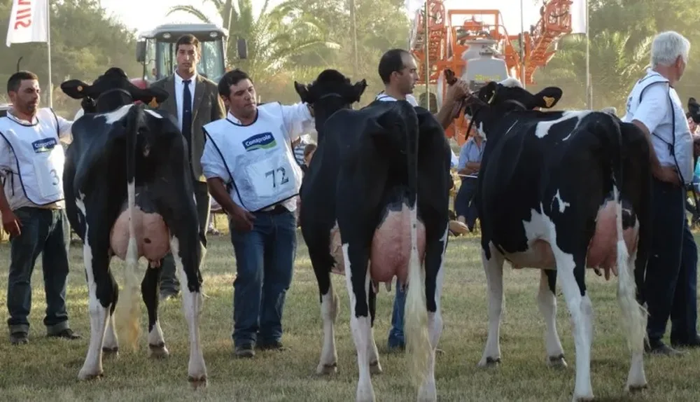 El jurado elogió el nivel de la genética expuesta