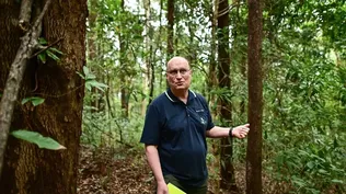 Hoy, es posible penetrar en el bosque y reconstituir la forma y la talla de cada árbol, explica el investigador francés Emmanuel Paradis.