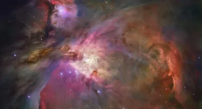 El Observador | 0000296247.webp