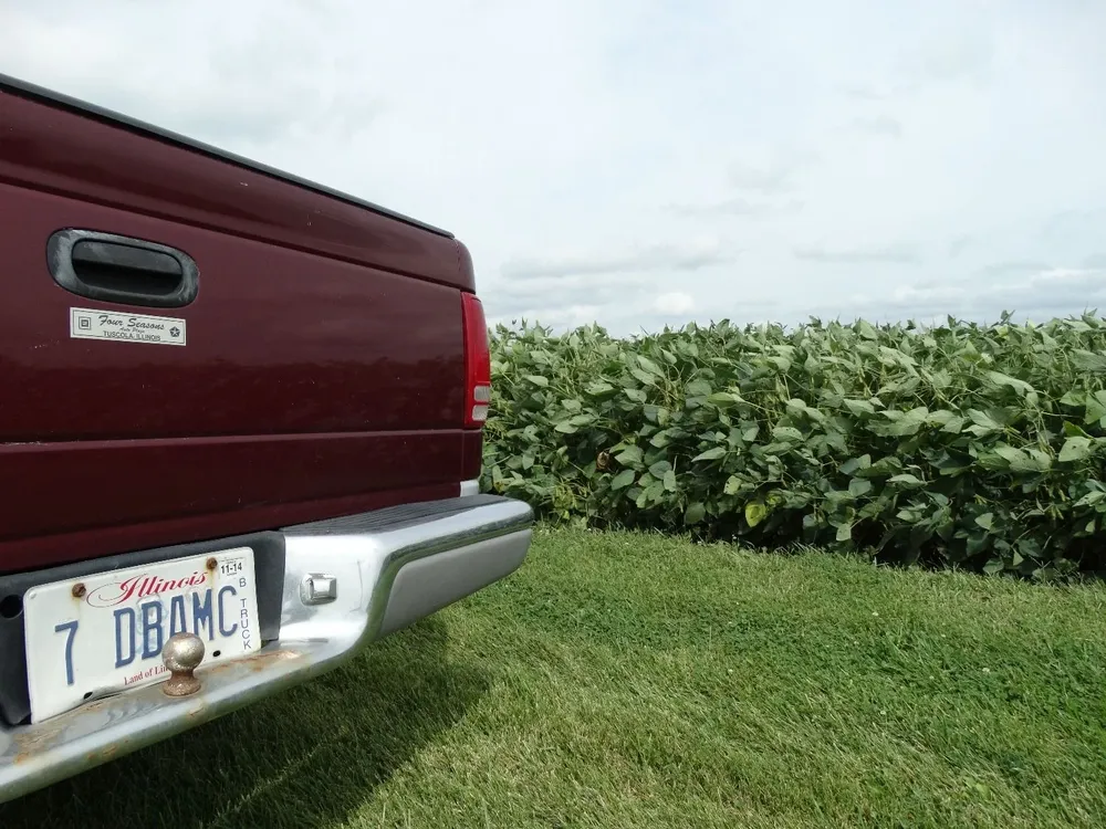 Soja en EEUU, cada vez rinde más.