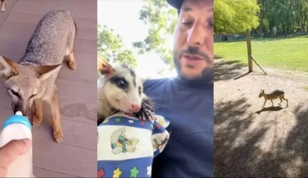 Rescatistas que son furor en las redes sociales