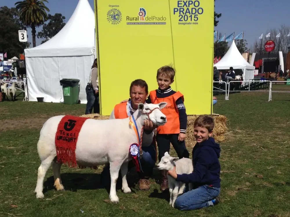 La Gran Campeona Texel puro de origen, de Diego Riccetto