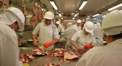 La carne bovina continúa siendo el principal rubro exportado.