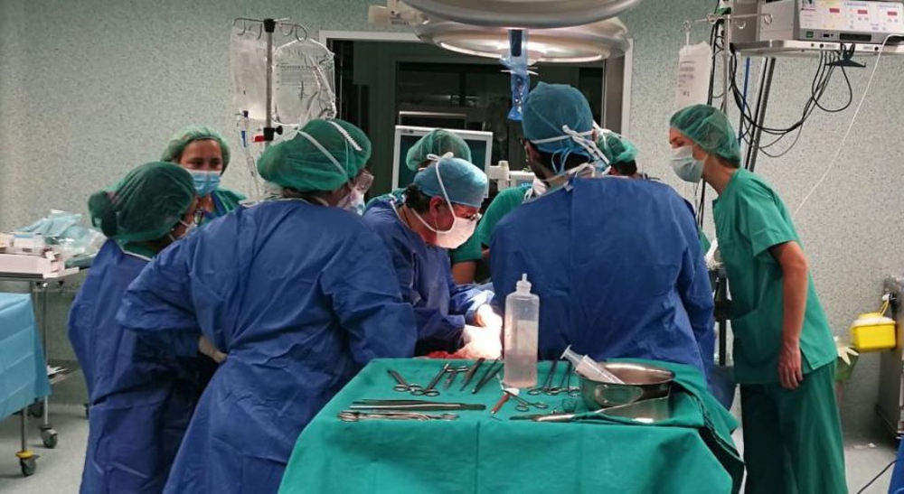 España, Argentina, Uruguay y Brasil, líderes en trasplantes de órganos.