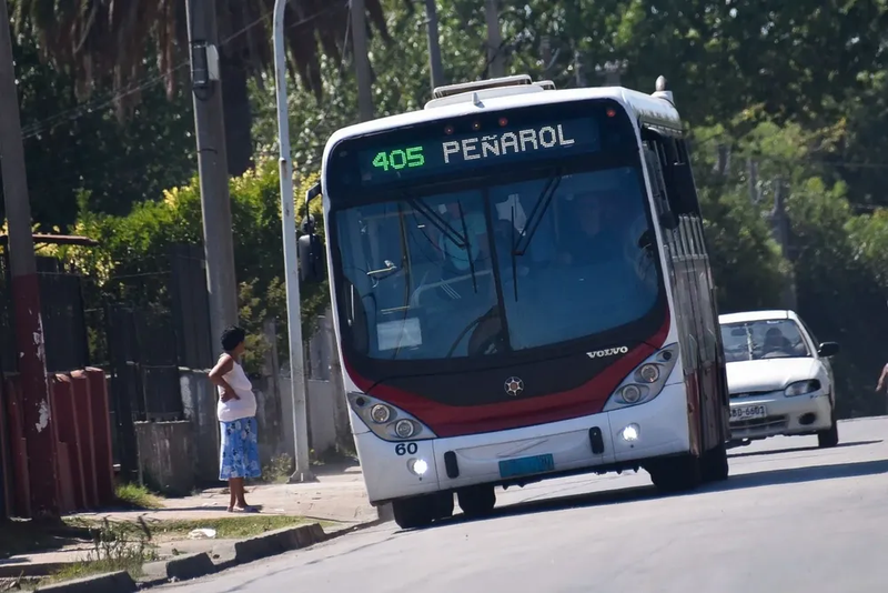 Peatona fue atropellada en el Intercambiador Belloni y un policía retirado amenazó con un arma a la conductora