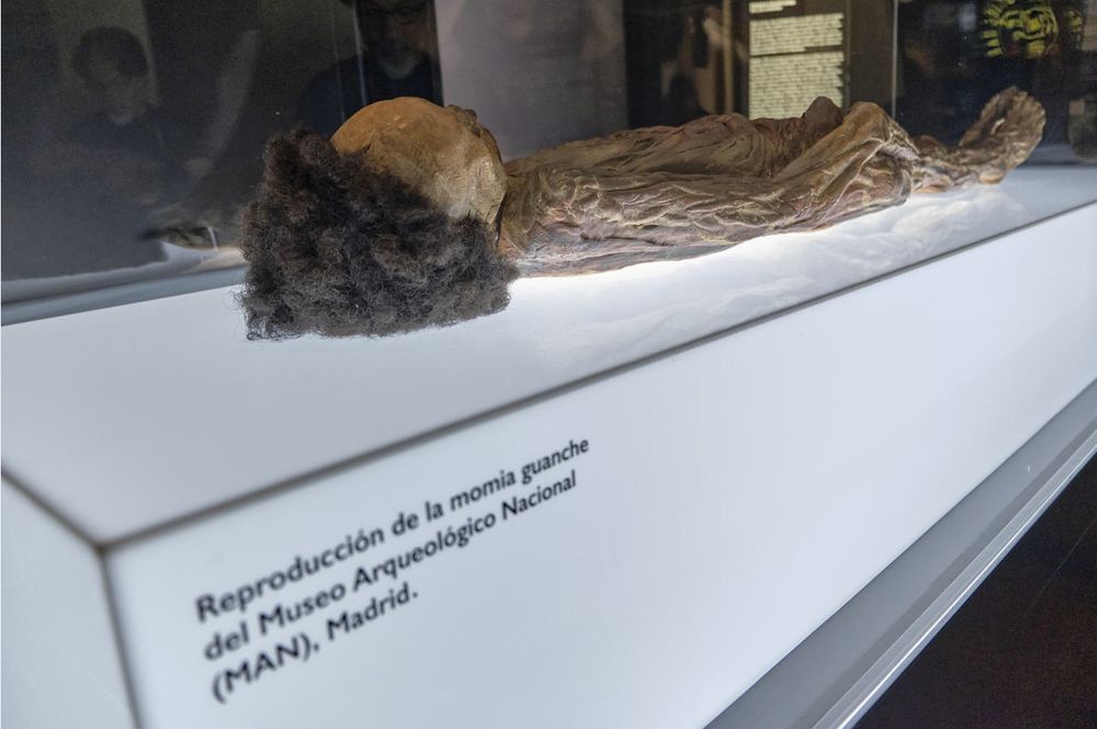 EuropaPress_5840487_replica_momia_erques_exhibe_muna.jpg