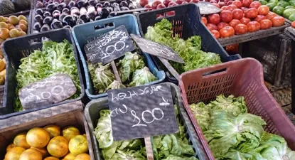 Entre los precios que más subieron en el mes se encontraron la lechuga (19,3%), el zapallito (33,4%), el tomate (16,3%) y limones (22,5%).