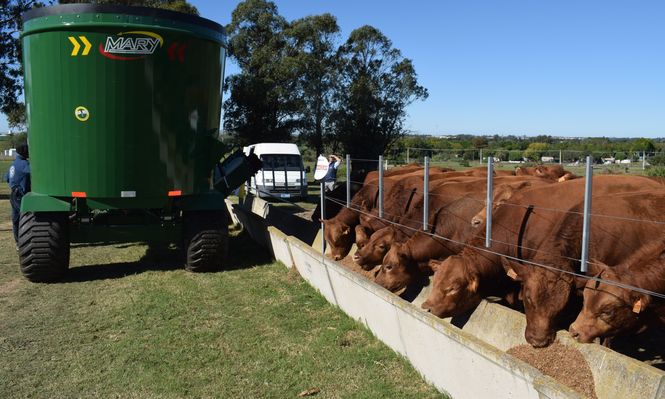 Nutrición animal: módulo demostrativo en la Expo Rural de Melilla.