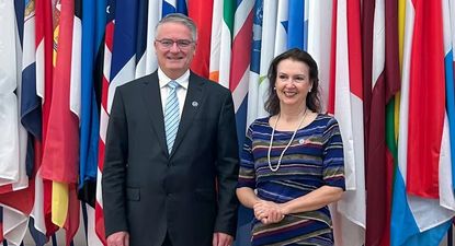 Mondino se reunirá esta semana con el Mathias Cormann, jefe de la OCDE, y avanzará en las negociaciones de acceso a ese organismo.