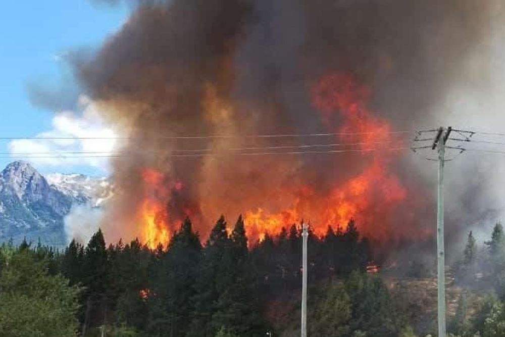 Alrededor de 200 viviendas fueron evacuadas y más de 30 casas se vieron afectadas, incluyendo comercios y servicios básicos.