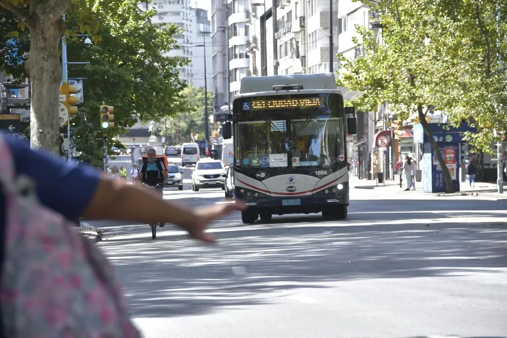 El 100% de la flota de Cutcsa estará operativa este domingo 27