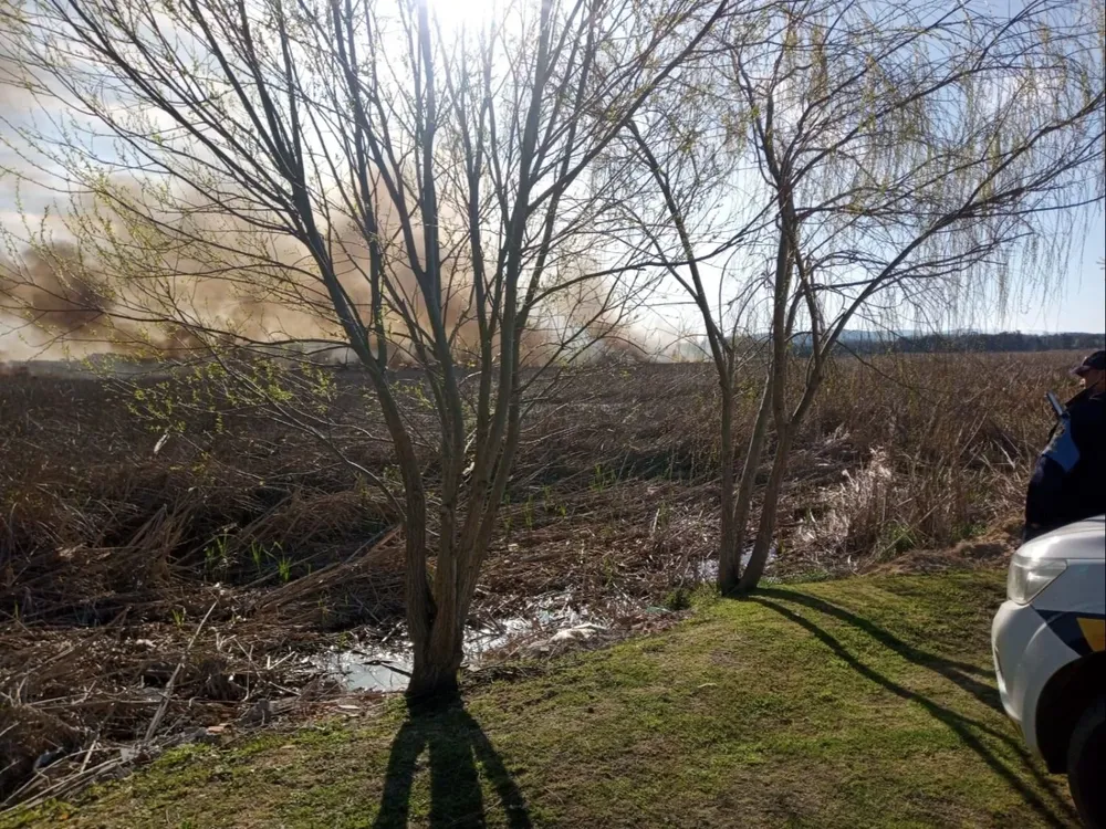 Incendio en Laguna del Diario