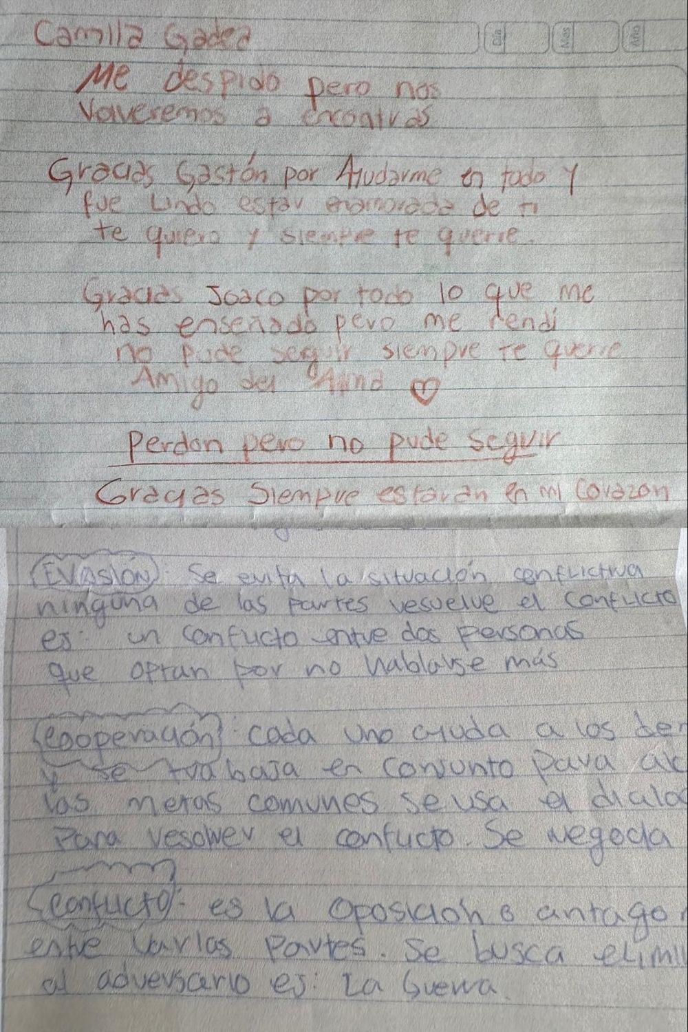 La supuesta carta de despedida que dejó Camila, cuya letra coincide con la de uno de los técnicos que la trataban, según sus abogados