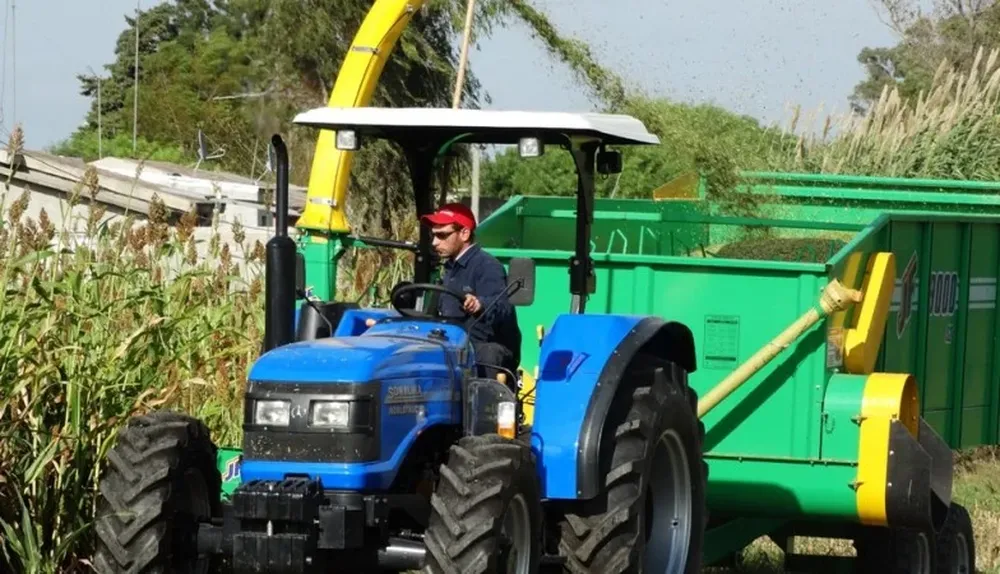 Picado de sorgo en el área activa de la Exposición de la ARU