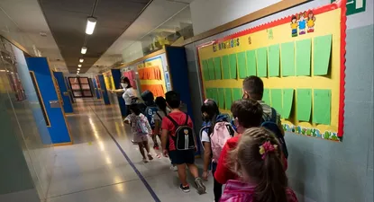 En los últimos años la baja de la matrícula se dio de forma sostenida