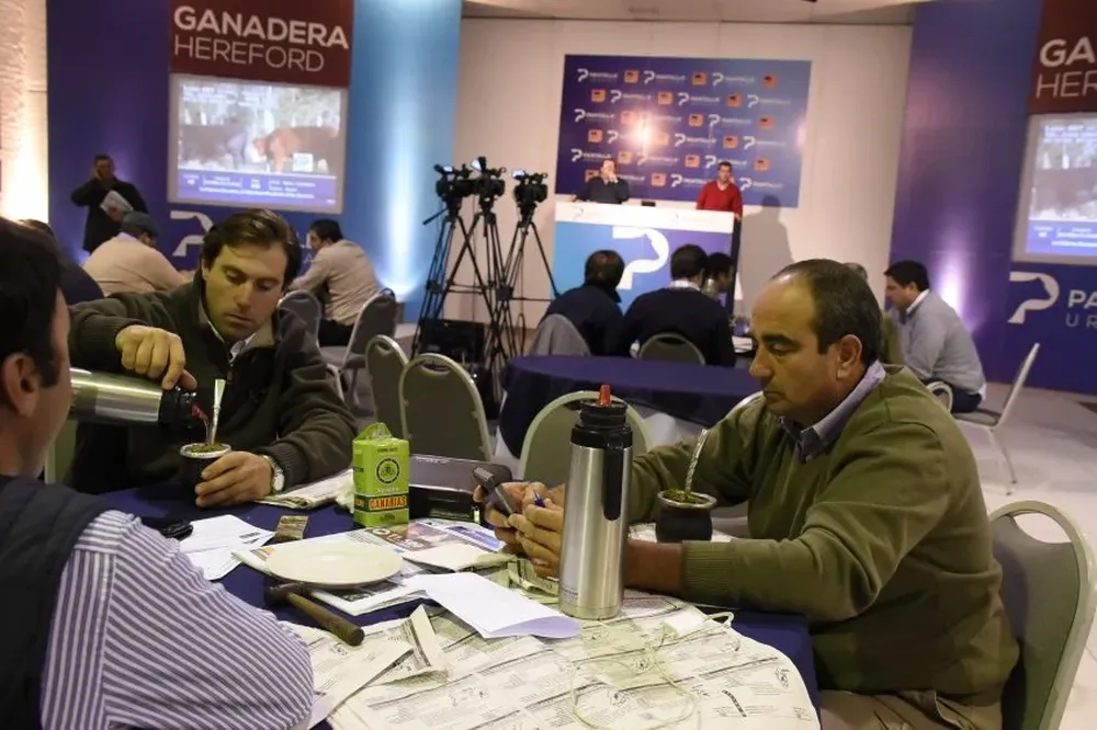 El remate se desarrolló en la Rural del Prado con transmisión en vivo por televisión e internet