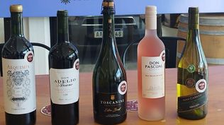 Inavi: los vinos que representarán a Uruguay durante 2025.