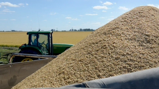 La guerra comercial entre las dos potencias mundiales creó la oportunidad para que Argentina y Brasil aumenten sus exportaciones de productos clave como carne y cereales.