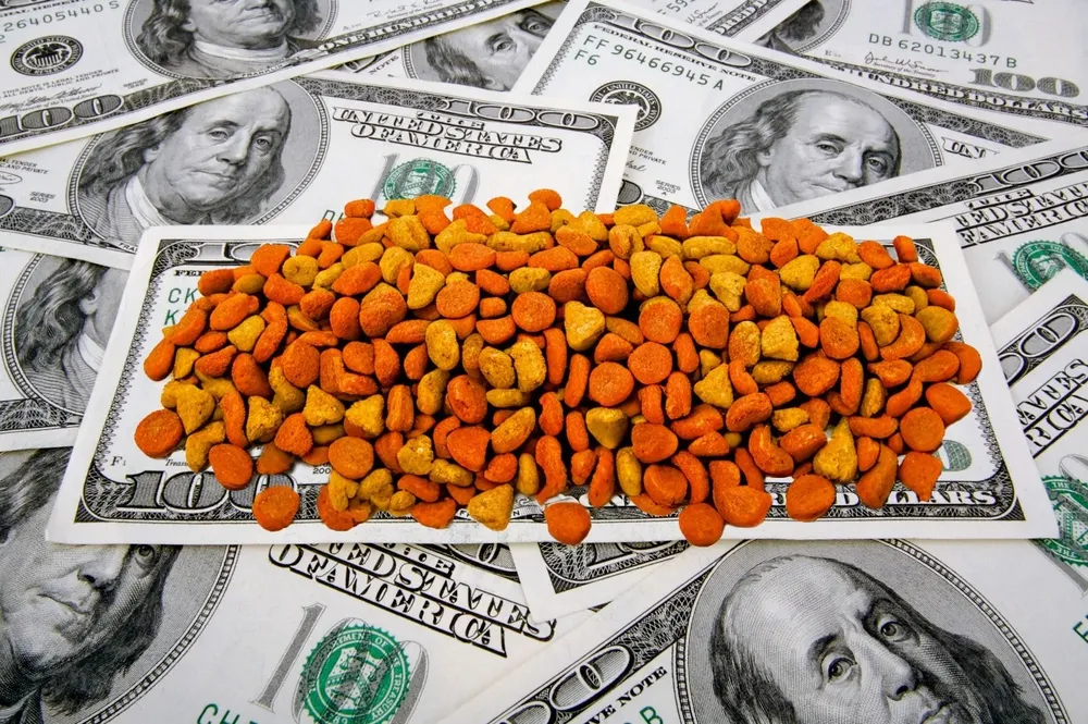 Investigan el vinculo entre la subfacturación de exportaciones y las cuevas