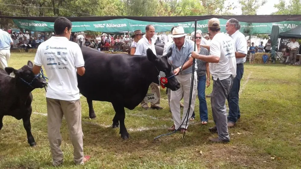 El presidente de la ARU, Pablo Zerbino, coronó a la Gran Campeona Angus