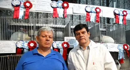El Observador | 0006431695.webp