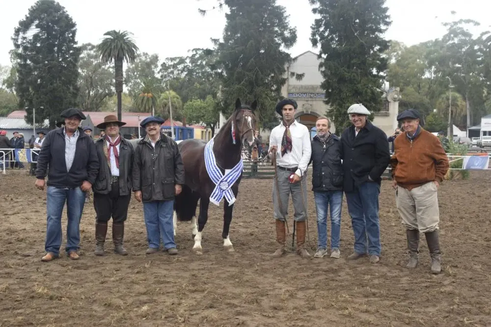 El Gran Campeón junto a sus expositores, el cabañero, el jurado y autoridades de Criollos.