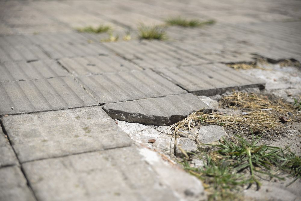 20250220 Veredas rotas, veredas en mal estado