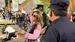 Movida de la Plataforma Animalista.